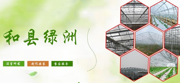 和縣綠洲農(nóng)業(yè)發(fā)展有限公司簽約 seo化