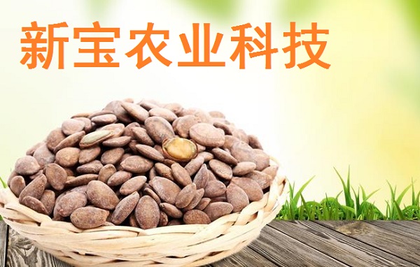 長(zhǎng)豐縣新寶農(nóng)業(yè)科技有限公司簽約 seo優(yōu)化