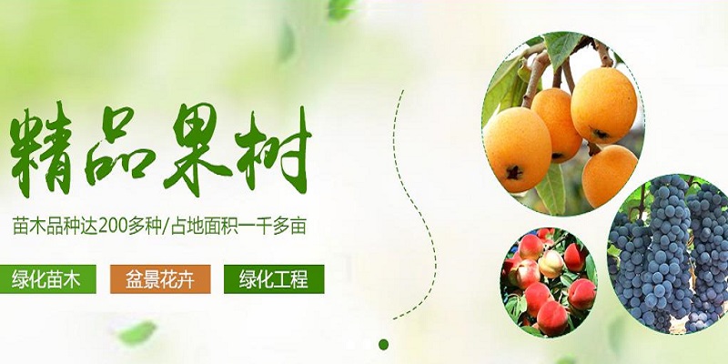 廬江縣張桂楊花木有限公司